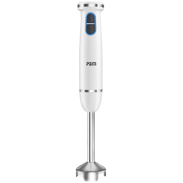 Mixeur plongeant rechargeable