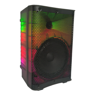 Enceinte 8 pouces