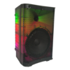 Enceinte 8 pouces