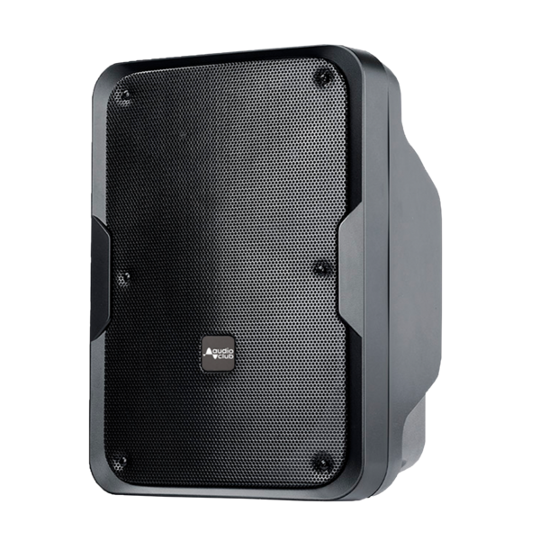 Enceinte mural 120W