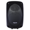 Enceinte professionnelle 12 pouces