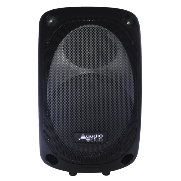 Enceinte pro portative 15 pouces