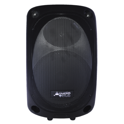 Enceinte pro portative 15 pouces