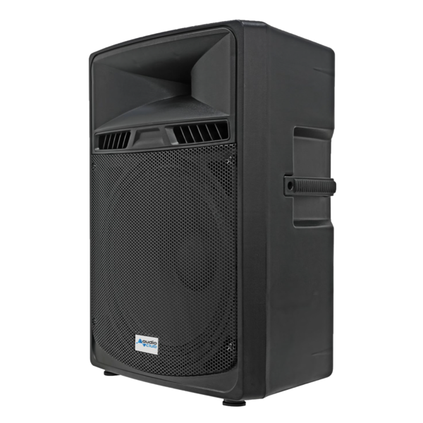 Enceinte 18 pouces