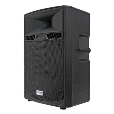 Enceinte 18 pouces