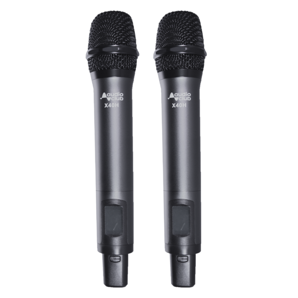 Système 2 micros sans fil professionnel